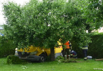 Garten-Unfall / Foto: FF Polsing