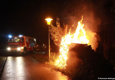 Holzbrand (Foto: Kolli)