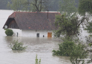 Hochwasser / Foto: Kolli