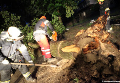 Unwetter / Foto: Kolli