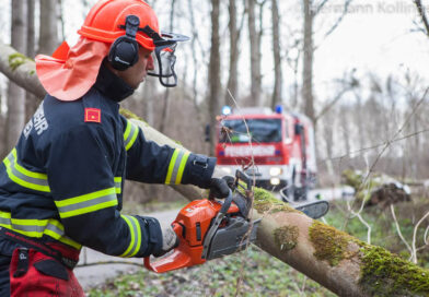 Sturmschaden (Foto: Kolli)