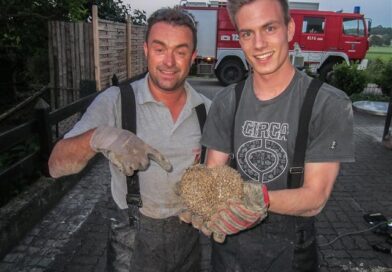 Igel aus Rohr geholt