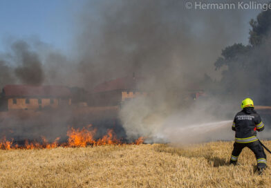 Feldbrand / Foto: Kollinger