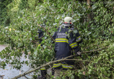 Sturm (Foto: Kolli)