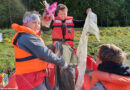 23.09.2022: Donau-Uferreinigung im Staubereich