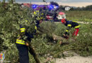 10.07.2024: Sturmschaden (Baum) in Gstocket und Brandmeldealarm in Betrieb in Alkoven