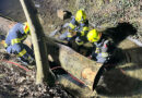 20.02.2025: Feuerwehr Alkoven beübt schweren Forstunfall mit zwei Betroffenen und ins Rollen geratenen Baumstämmen